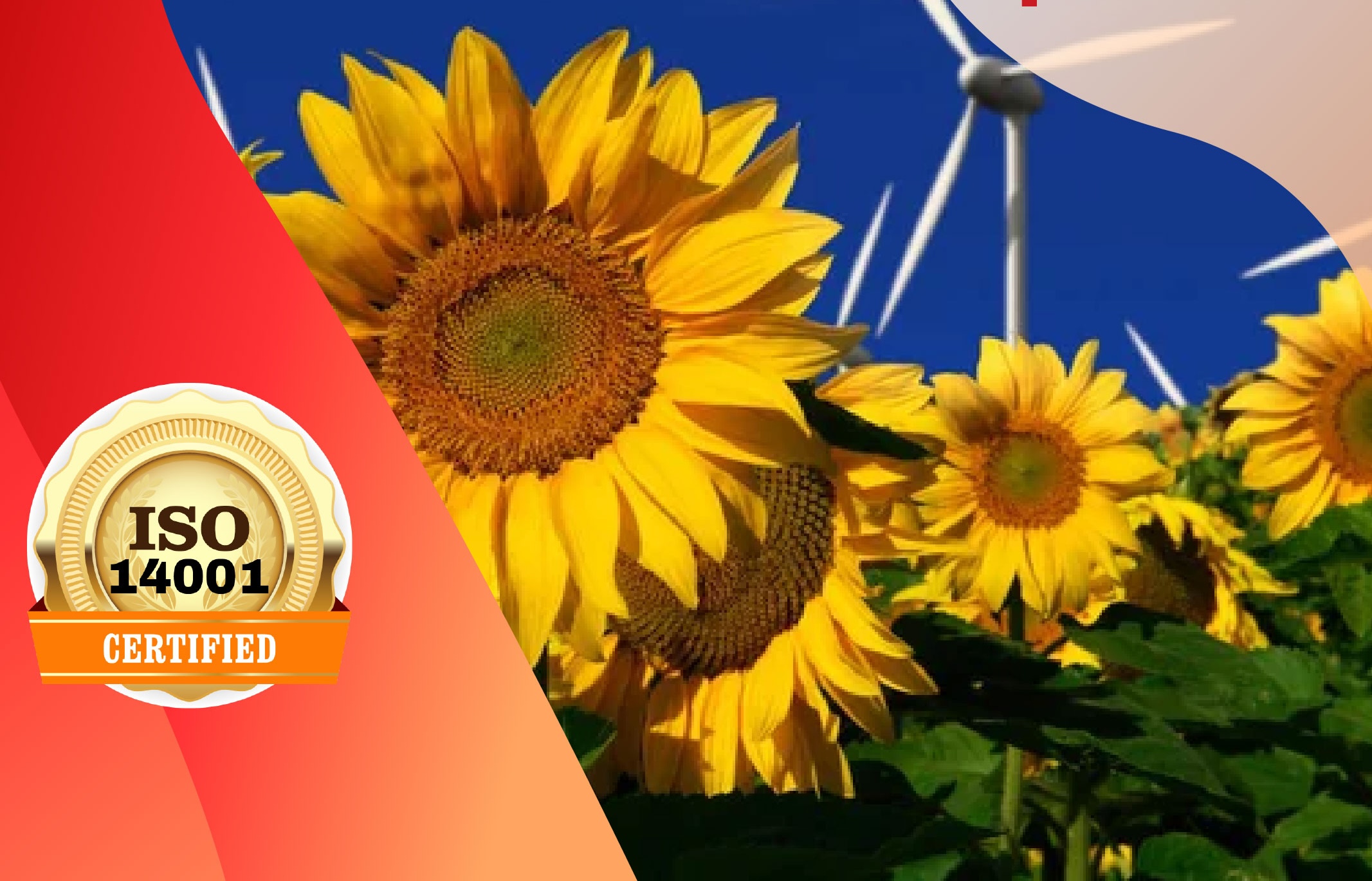 ISO 14001:2015